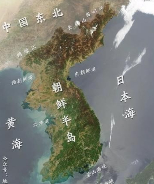 欧联勒沃库森vs采列主裁维尔古特数据:近20场执法55黄6红3点